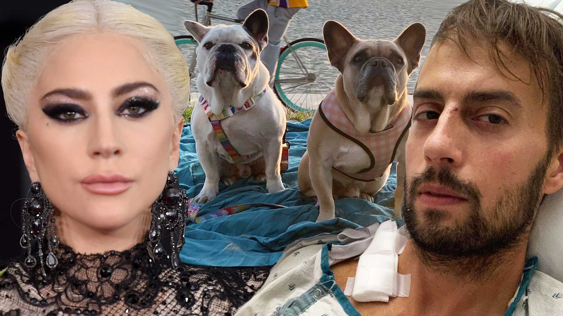 Dog walker says Lady Gaga Helped Him Process Trauma