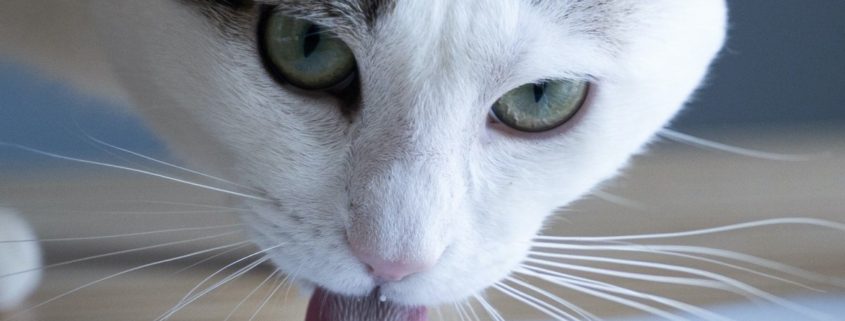 Delta Airlines passenger