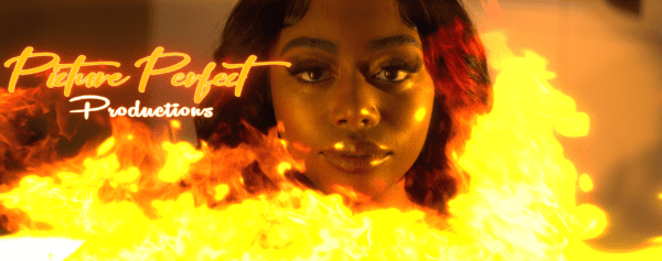 FunSize Brown Dress Twerk