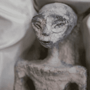 Footage From India Shows An Alleged Alien Being Held Hostage