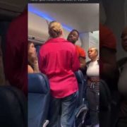 In-Flight Drama: Unveiling the Airborne Slap Showdown!